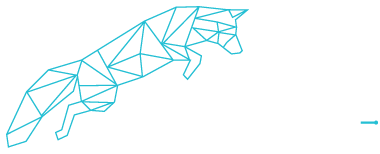 FOXCOM logo